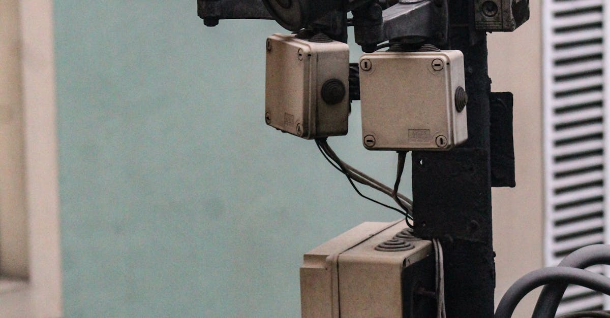 Case Studies of Successful Community Surveillance Projects