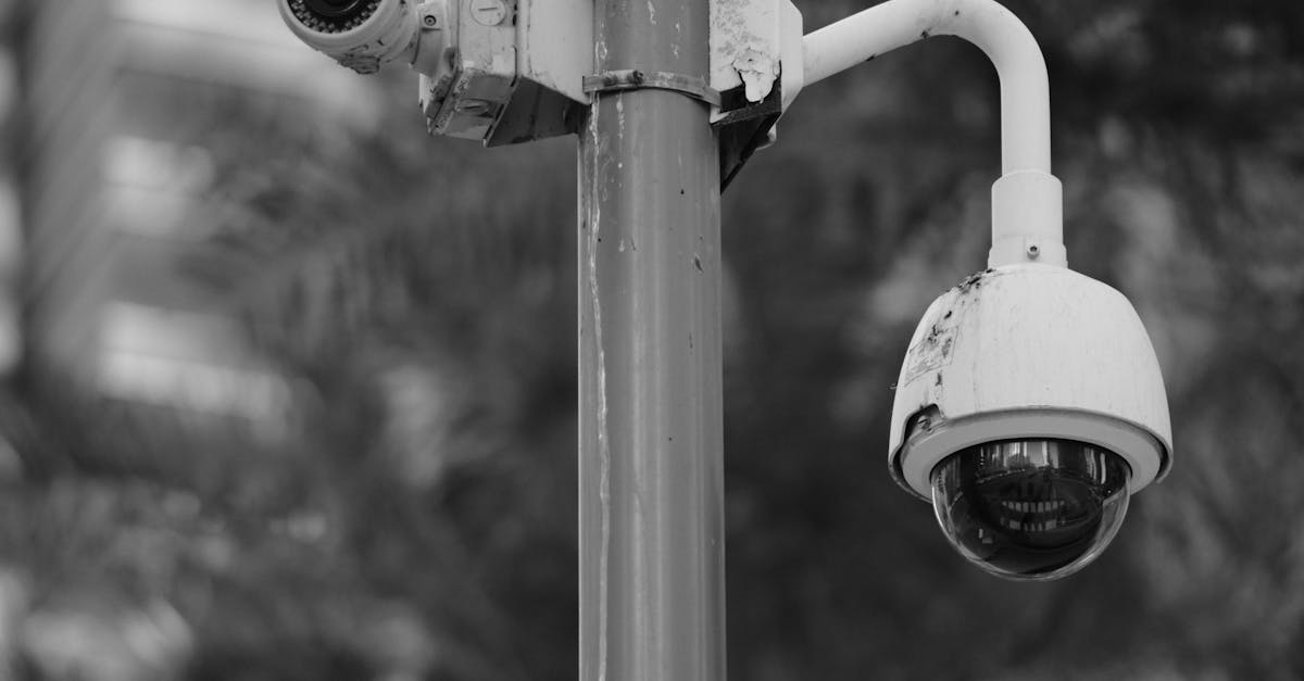 Community Responses to Government Surveillance Programs in Sydney