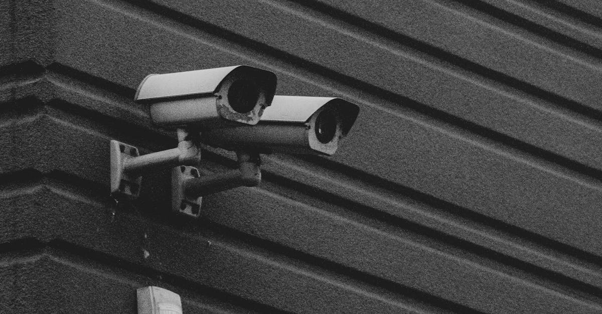 Evaluating the Use of Drones in Private Security Operations