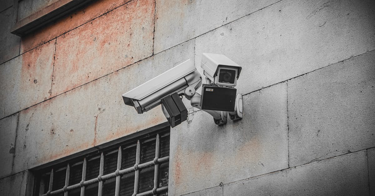 How Private Security Measures Influence Public Safety Perceptions