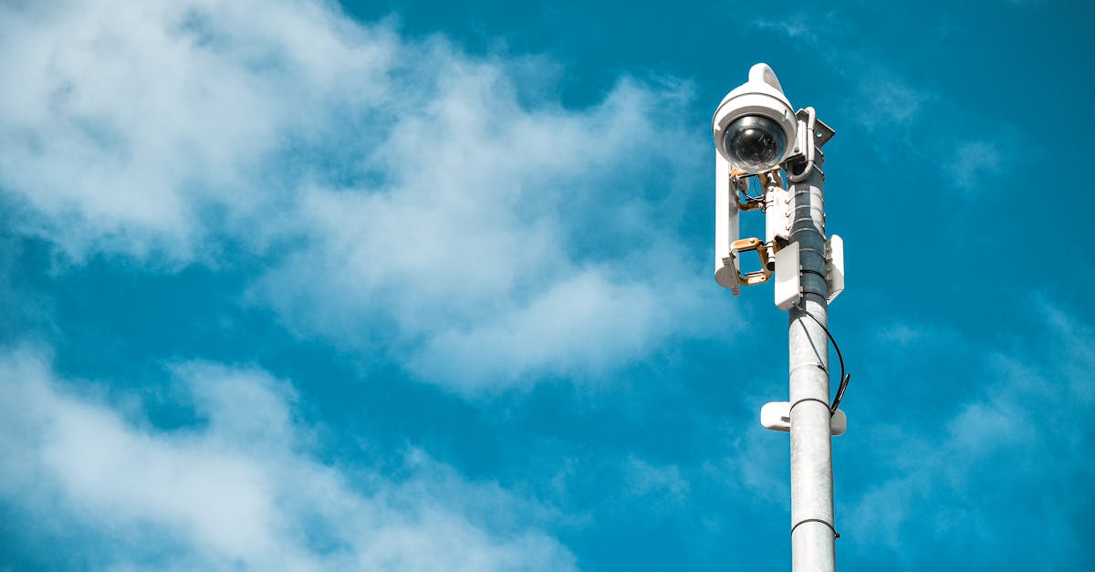 Innovative Approaches to Community Surveillance in Sydney