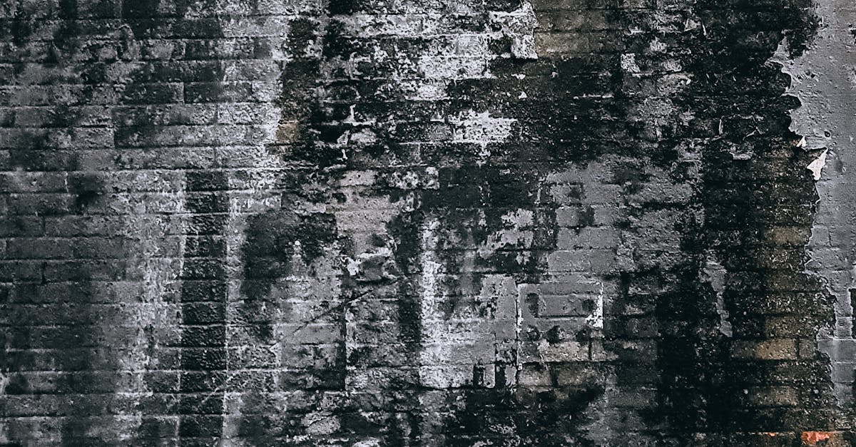 Public Attitudes Towards CCTV Surveillance in Urban Areas