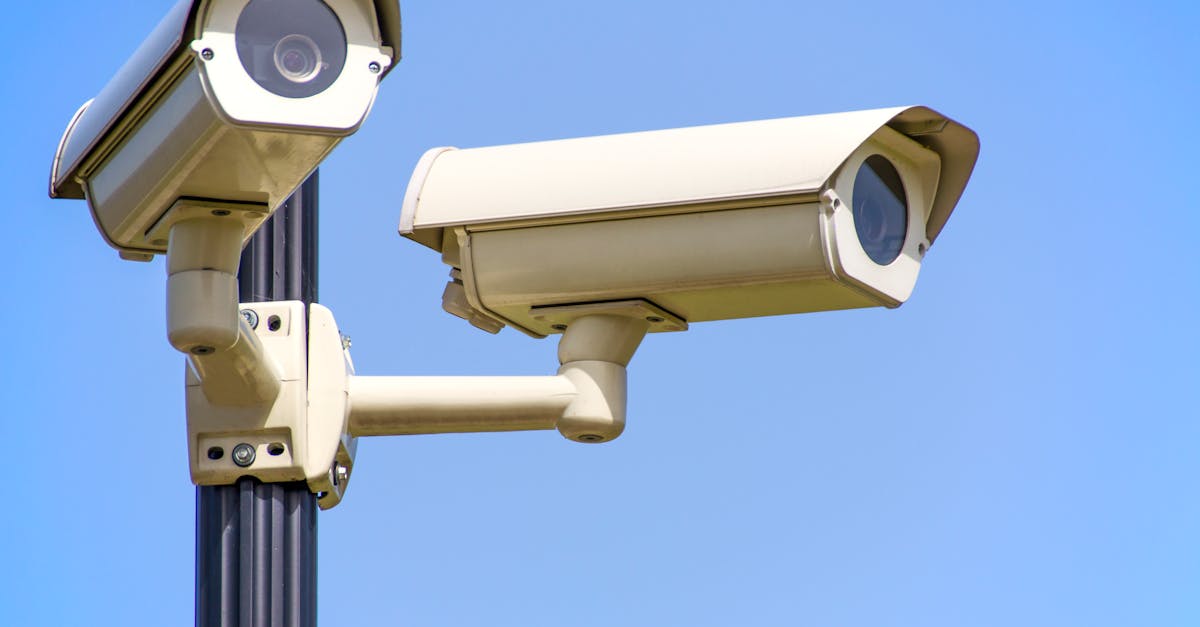 Streamlining Operations: Private Security’s Contribution to Public Safety Systems