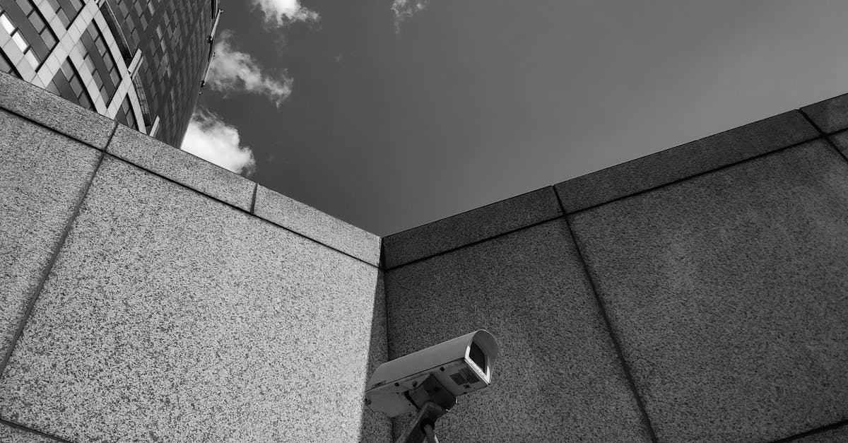 The Interplay of Technologies: Surveillance Systems Collaboration in Sydney